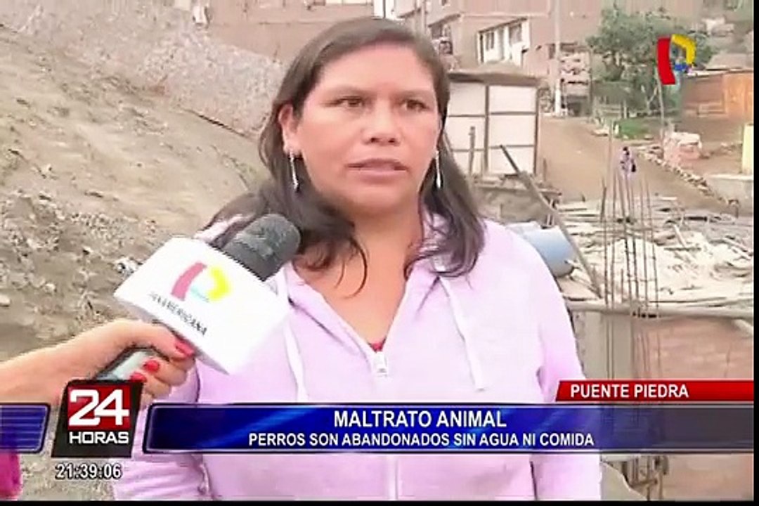 Puente Piedra: dueño de perros abandonados sería denunciado por maltrato animal