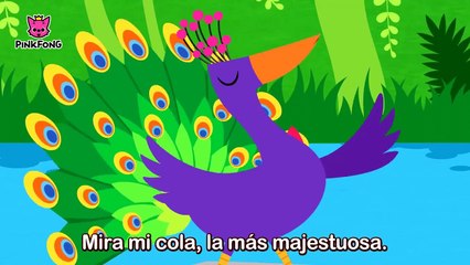 ¿Te Casas Conmigo _ Animales _ PINKFONG Canciones In