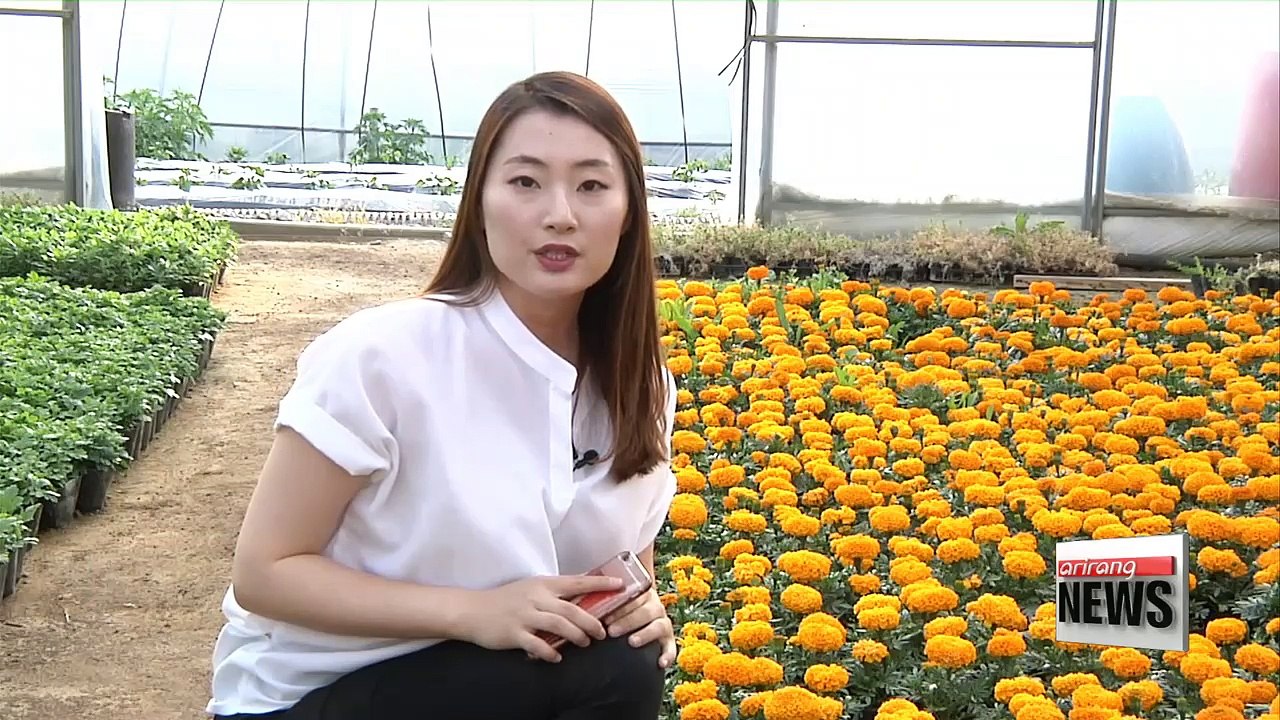 ICT technology helps produce better quality agricultural products, makes farming less labor-intensive