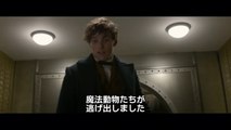 『ファンタスティック・ビーストと魔法使いの旅』4�