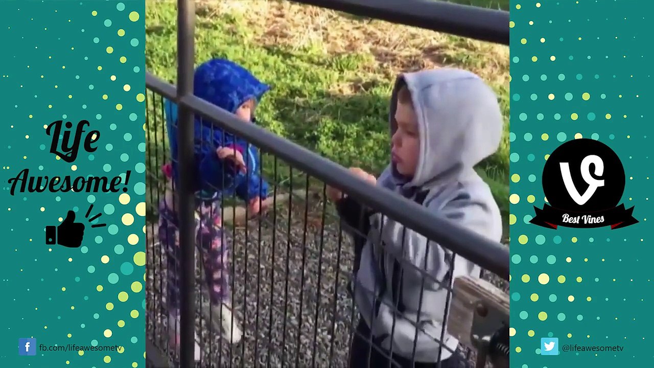 AFV FUNNY FAILS VINES COMPILATION 2017   Best Fails of the Week (January 2016)  Life Awesome