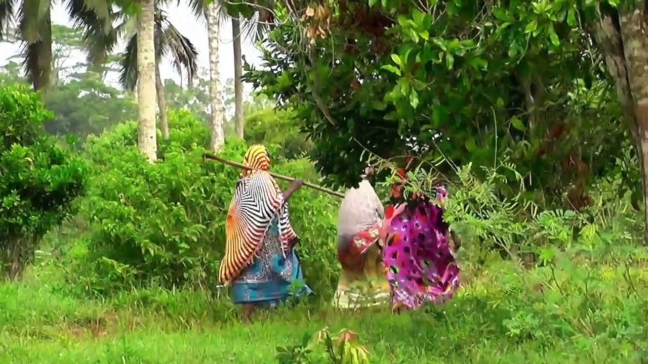 Beautiful Zanzibar (Tanzania) - Holid