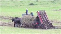 Modern Agriculture Equipment And Mega Machine Tractor Compilation