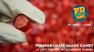 The satisfying process of making pomegranate Victorian image