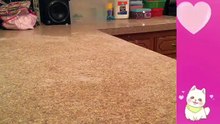 My Brother Pranks Me!! All My Slimes Are Gon