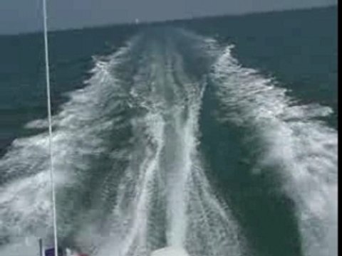 Bateau Leader 515+Johnson 90cv 2tps.En rte vers l'ile d'Aix