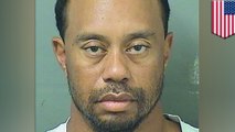 Tiger Woods blames prescription drugs for DUI arrest