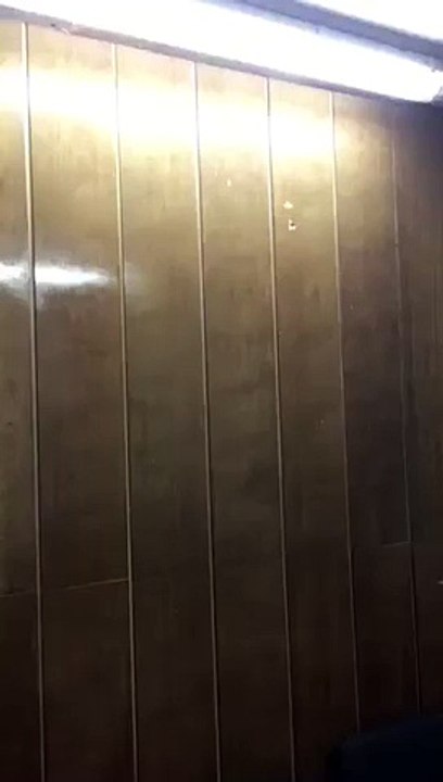 video-1496133788