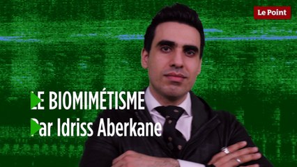 Le biomimétisme selon Idriss Aberkane #17 : le management de la nature