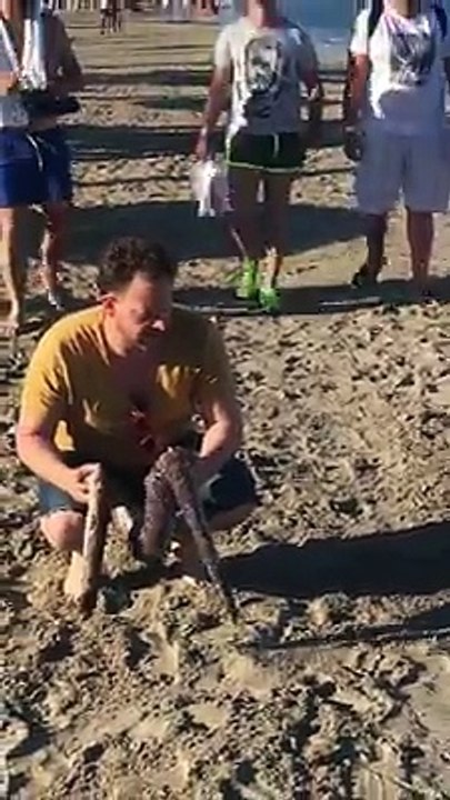 Snake prank