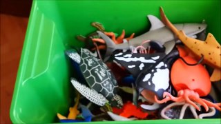 Shark Toys Kids Toy Box Sea Animals Toy Whales seaasd turtles caretta caretta turtles