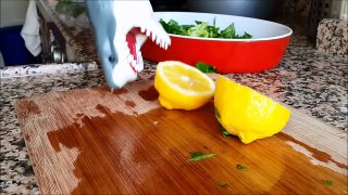 shark toy playing making saladdsaa