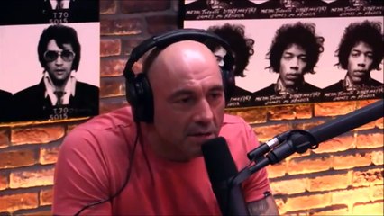 Dominick Cruz on his Unique Fighting Style - JRE #921 - Downloaded from youpak.com