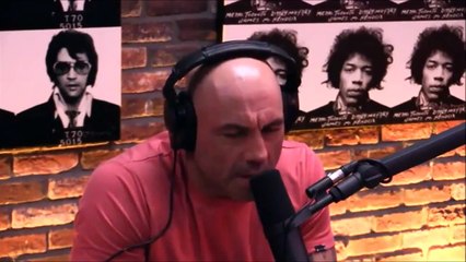 Dominick Cruz on his Unique Fighting Style - JRE #921 - Downloaded from youpak.com