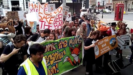 Hundreds march in London against lifting fox hunting ban