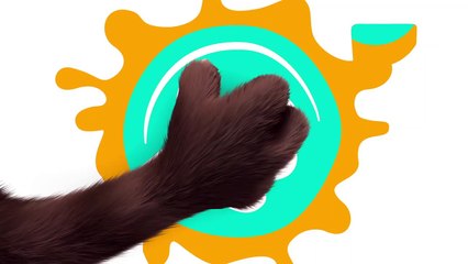 Talking Ginger and the Amazing Ships-LFTBJRSljAQ