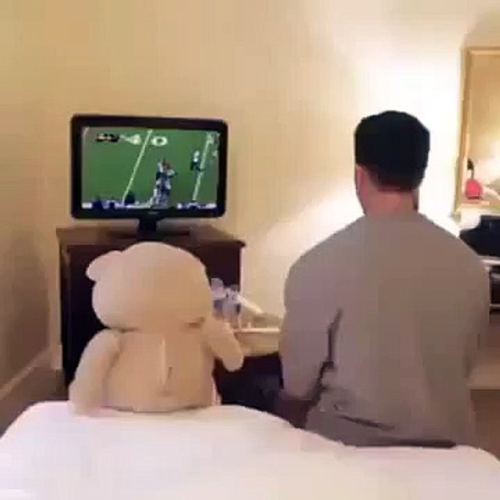 der sieg (mit dem teddy)