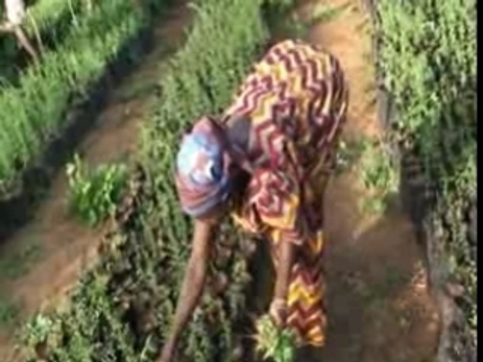 Montage Niger