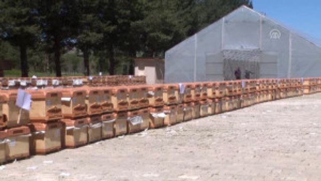 Çoruh Nehri Havzası Rehabilitasyon Projesi