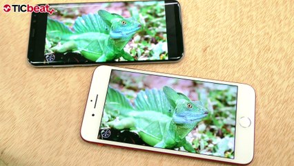 iPhone 7 Plus vs Samsung Galaxy S8+ TICBEAT