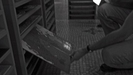 Nathalie Pozzi et Eric Zimmerman, Flatlands, 2010