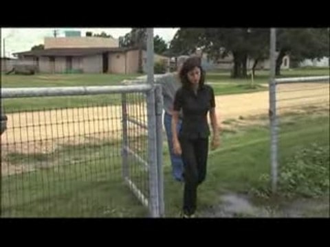 WIRED SCIENCE | Got Clones? | PBS