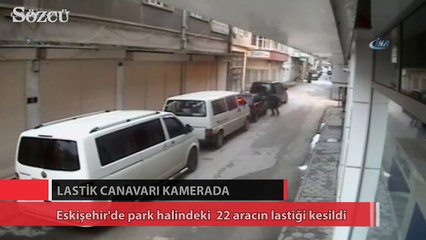 Lastik canavarı kamerada