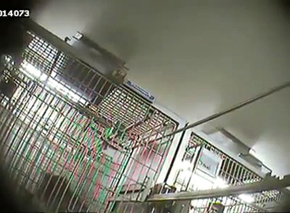 Des singes souffrent le martyr dans le sous sol d'un hopital parisiens