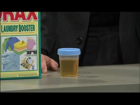 WIRED SCIENCE | What's Inside Your Garden? | PBS