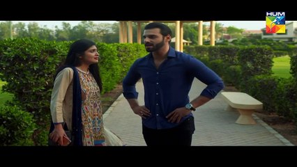 Sangsar Episode 42 HUM TV Drama - 30 May 2017