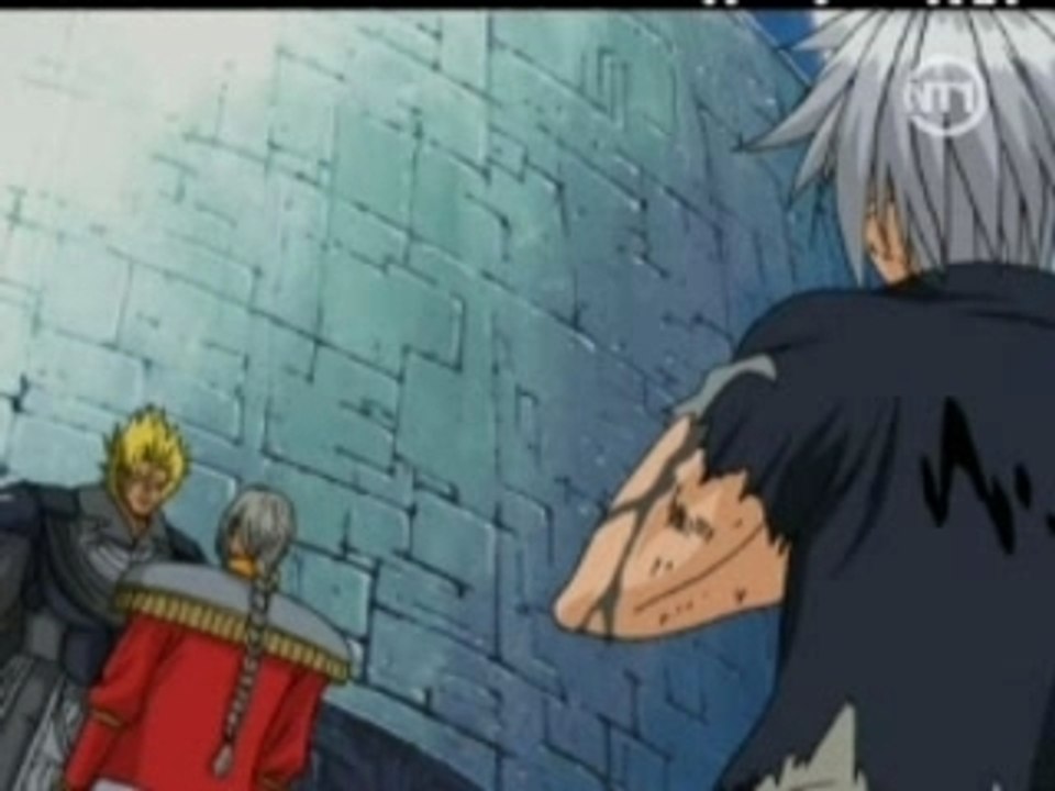 Rave Master 29