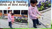 Catching & Feeding Birds at Bird Aviary! :Kids Family Fun Trip to the Farm(Part 1)
