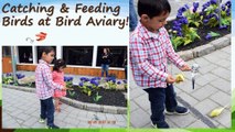 Catching & Feeding Birds at Bird Aviary! :Kids Family Fun Trip to the Farm(Part 1)