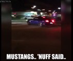 MUSTANGS ATTACK CROWDS AGAIN! Two Mustangs meet their demise at a local car meet in Phx