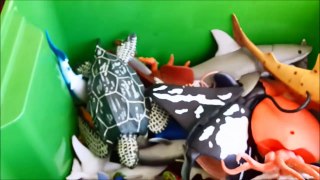 Shark Toys Kids Toy Box Sea Animals Toy Whales sea turtles caretta car