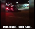 MUSTANGS ATTACK CROWDS AGAIN! Two Mustangs meet their demise at a local car meet in