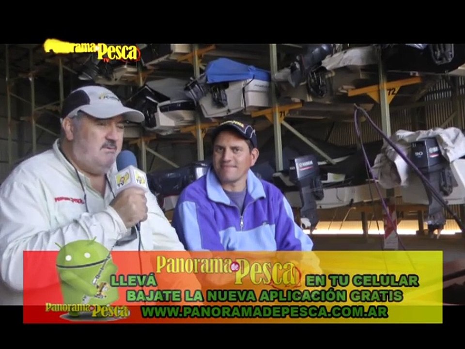 Panorama TV 334