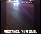 MUSTANGS ATTACK CROWDS AGAIN! Two Mustangs meet their demise at a local car meet in Phx