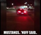 MUSTANGS ATTACK CROWDS AGAIN! Two Mustangs meet their demise at a local car meet i