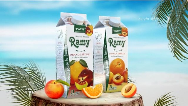 Samira TV - Programme inconnu - 30-05-2017 15h00 01h (157)