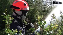 Le 18:18 - Feux de forêts : comment les marins-pompiers se préparent à passer à l'action