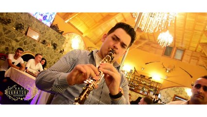 Costel BIJU - Introducere (Hanul Vanatorilor)