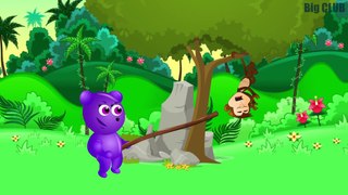 Mega Gummy Bear Boomerang Play! Finger Family Song and Nursery Rhymes For Children