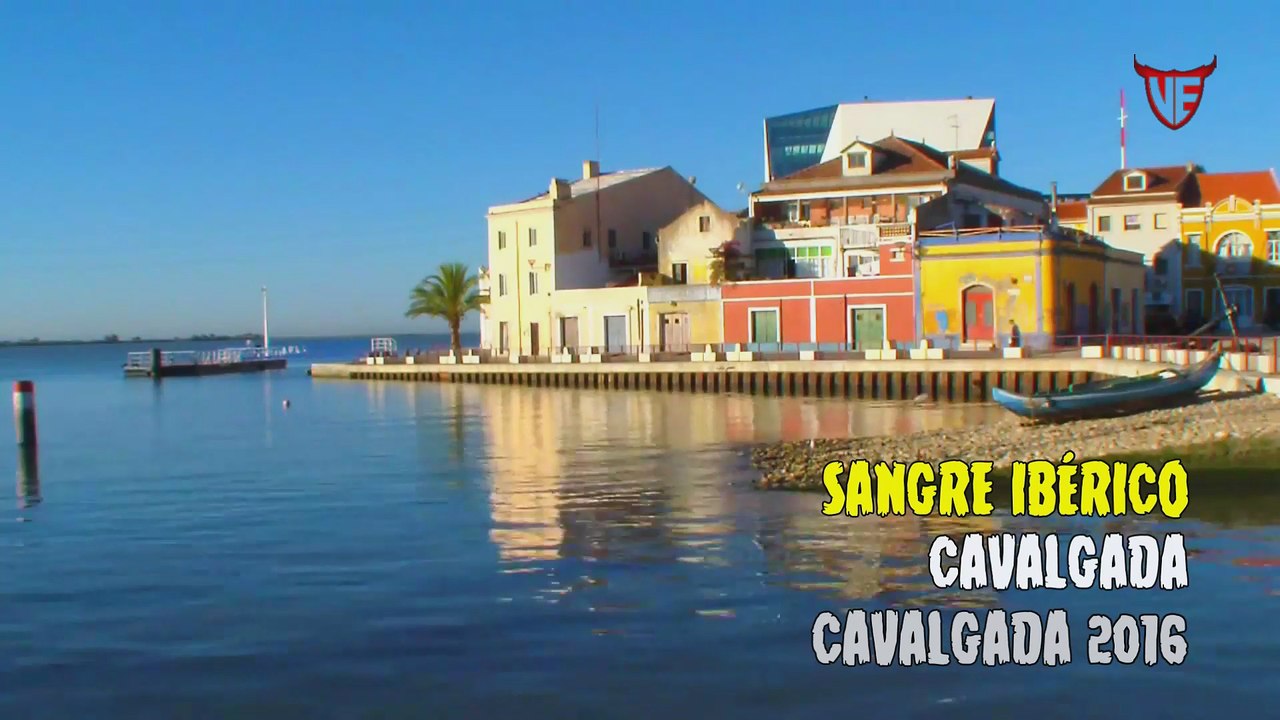 Sangre Iberico - Cavalgada