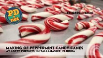 Making hand made candy canes and a little history about Candy Can