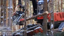 Amazing Modern Mega Machines Unusual Woodwork Sawmill Wood Timber Tractor Cleaver Saw