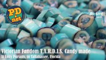 T.A.R.D.I.S. hand made candy at Lofty Pursuits,  It's tastier on the in