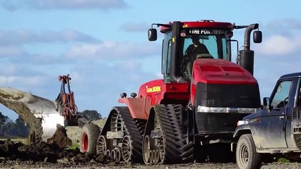 Deep ploughing & Field Leveling   CASE IH Quadtrac 450 & STX 375   Gebr. Bork diepploegen