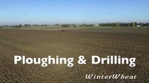 Ploughing & drilling wheat   Fendt 936 & 724   Kverneland u-drill & 7 furrow plough Van Pep