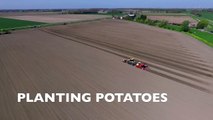 Potato Planting   Challenger MT 765D   Grimme GB430 beltplanter   Veerman Gou